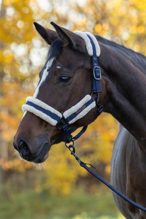Covalliero Grime med lam