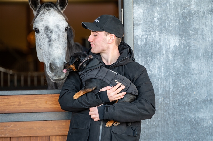 Catago hunde halsbånd i læder. 