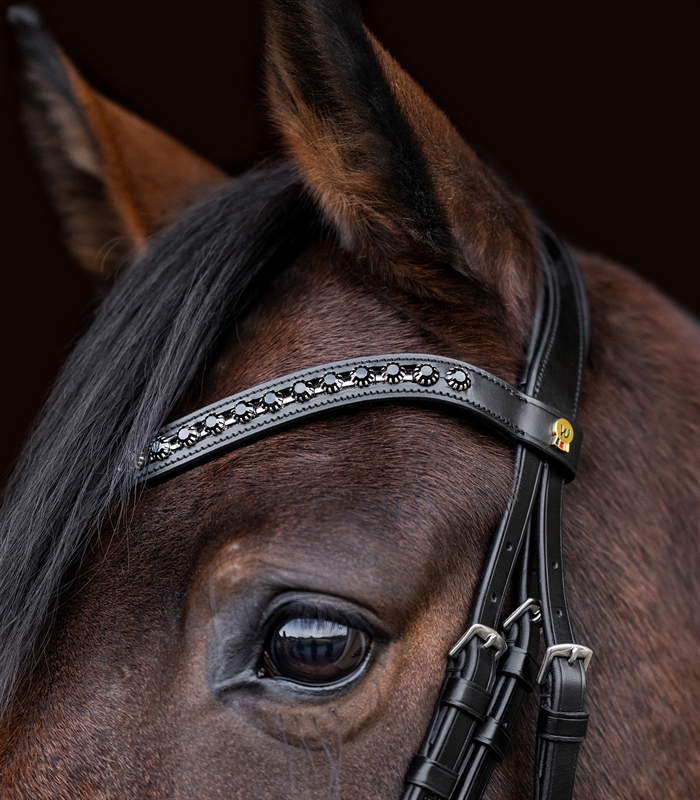 Waldhausen S-line Trense. Model Blackshine