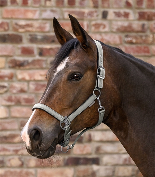 Waldhausen Anatomisk grime. Model Athletic