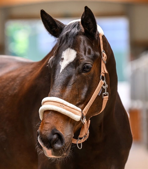 Waldhausen Nylon grime med fur lam. Model Elegant