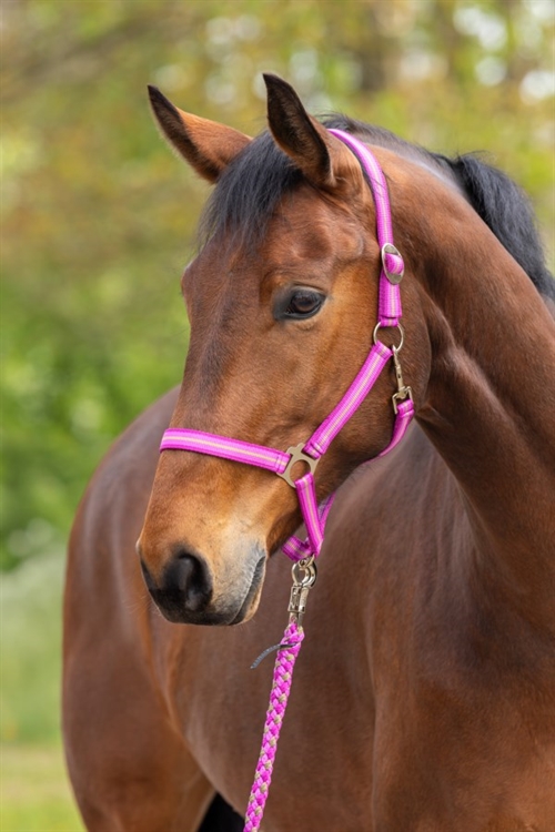 Covalliero Nylon grime