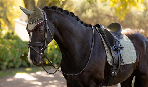 LeMieux Classic Hood 