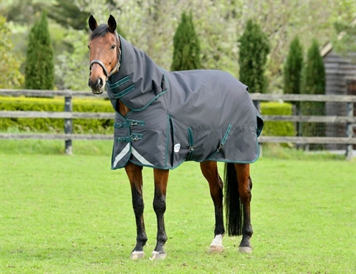 WeatherBeeta ComFiTec Dynamic ll Detach-A-Neck 220 g