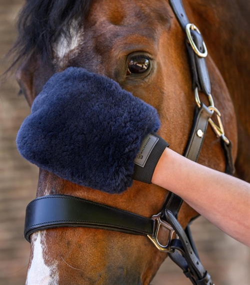 Waldhausen Lammeskind pleje hanske