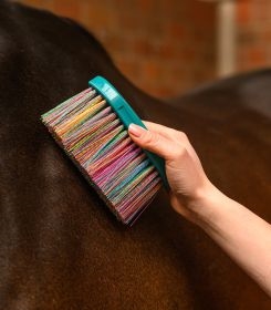 Waldhausen Rainbow børste