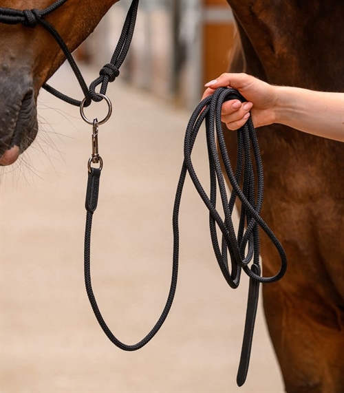 Horsemanship Tov 4 meter