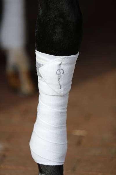Covalliero Fleece bandage med velcro glimmer.