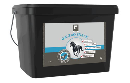 Equsana Gastro Snack
