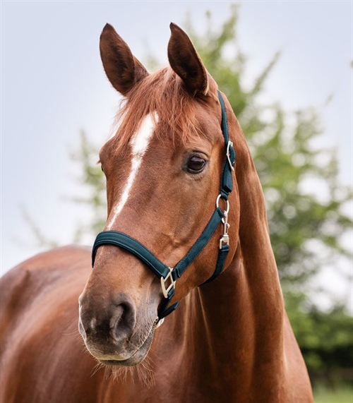 Waldhausen nylon grime med foer.