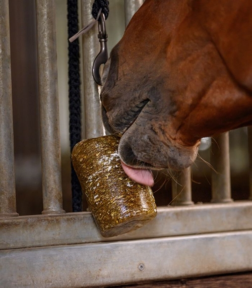 StableSnack Urte Sliksten